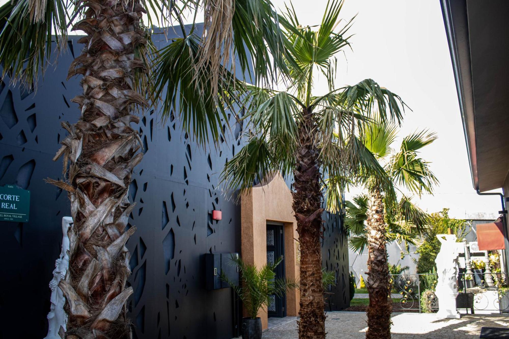 Rubens & Hotel 4*
